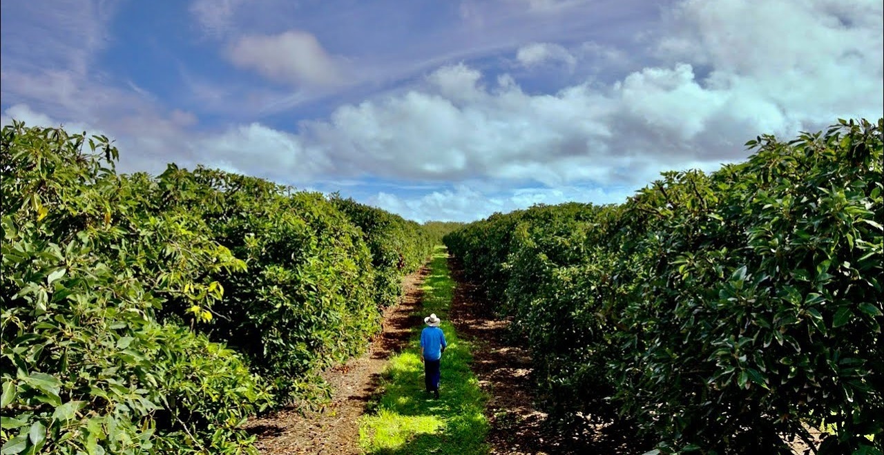 Sostenibilidad: Corteva lo está haciendo realidad